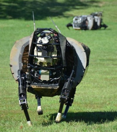 ABŞ-ın vəhşi pişik robotu