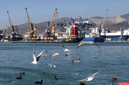 SOCAR Novorossiysk limanından neft nəqlini azaltdı