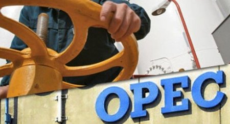 OPEK üzvləri dekabrda neft hasilatını 310 min barel azaldıb