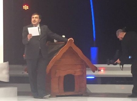 Saakaşvili Ukraynada teleaparcı oldu
