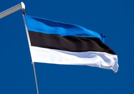 Estoniya iki rusiyalı diplomatı geri göndərdi
