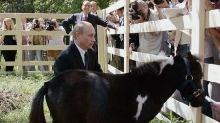 Vladimir Putin və onun zooparkı