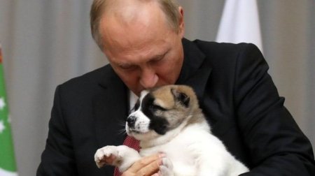 Vladimir Putin və onun zooparkı
