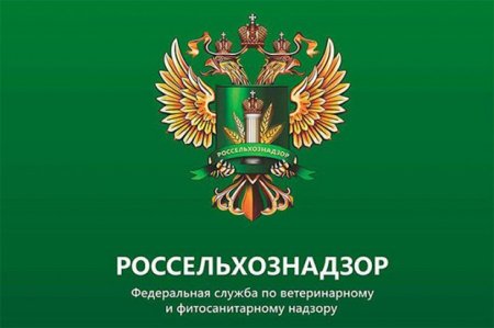 Rusiya Azərbaycan, Ermənistan və Belarusdan pomidor idxalını məhdudlaşdırdı