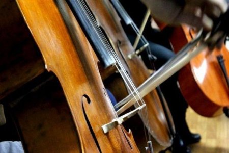 Məşhur musiqiçinin 1,3 milyon avroluq violonçeli oğurlanıb
