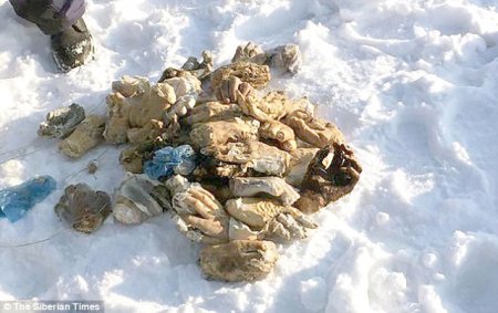 Rusiyada dəhşətli hadisə: çantadan 27 cüt insan əli çıxdı 