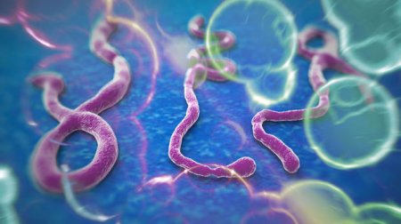 İlham Əliyev “Ebola” ilə mübarizəyə 1 milyon pul ayırdı