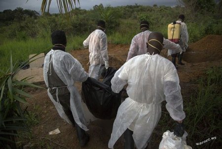 Ebola qurbanlarının sayı 5 420 nəfərə çatıb