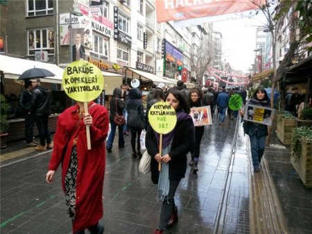 İstanbulda Azərbaycana qarşı, “Hamımız heyvanıq” aksiyası