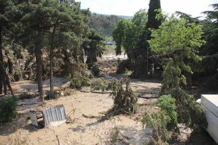 Tbilisi zooparkı daşqından sonra