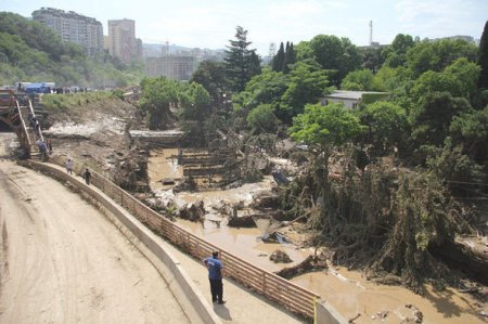 Tbilisi zooparkı daşqından sonra