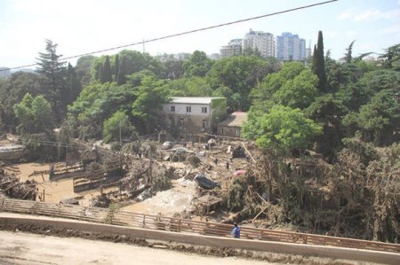 Tbilisi zooparkı daşqından sonra