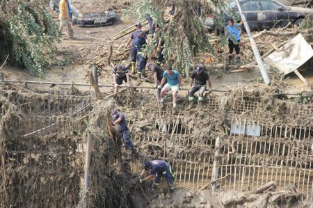 Tbilisi zooparkı daşqından sonra