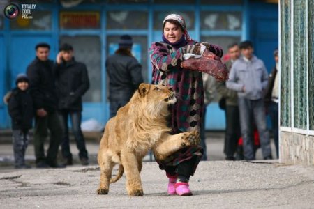 Ən qeyri-adi ev heyvanları