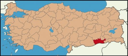 Türkiyə yenə qana boyandı