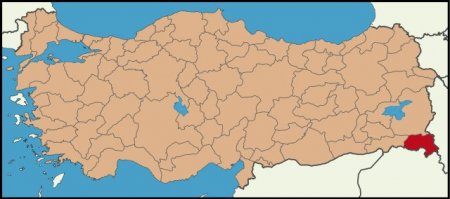 Türkiyə yenə qana boyandı
