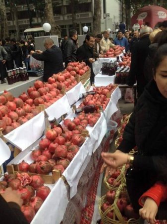 Göyçayda Nar festivalı keçirilib