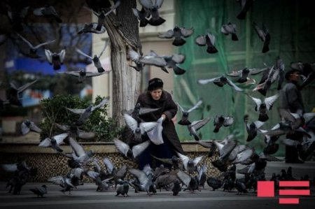 Azərbaycan xanımları 8 Mart bayramını qeyd edirlər