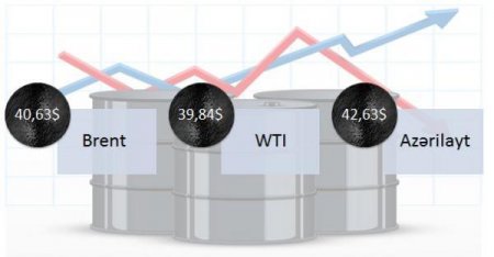 Neftin və dolların bu günə qiyməti