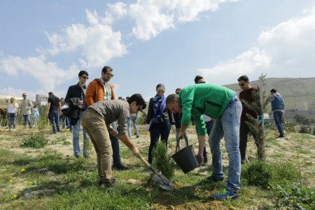 Bakı Şəhər Halqası Əməliyyat Şirkəti ağacəkmə aksiyası keçirib