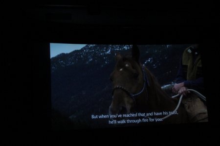“Sarılar - Qarabağ atının izi ilə” filminin təqdimatı olub