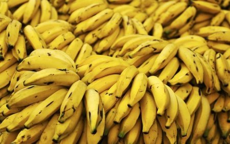 Azərbaycanlı Rusiyada 20 ton banan oğurladı