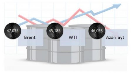 Neftin və dolların bu günə qiyməti