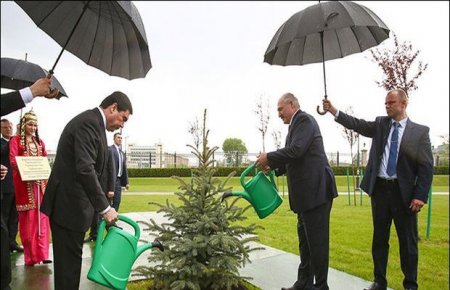 Lukaşenko və Berdiməhəmmədov yağışlı havada ağac suladılar