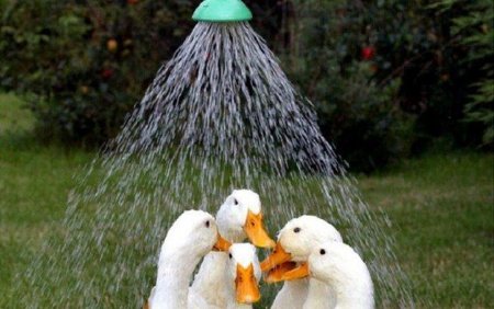 Sabah üçün olan hava durumu açıqlandı