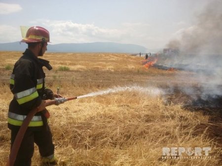 Şabranda qəbirstanlıqda güclü yanğın