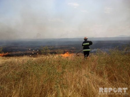 Şabranda qəbirstanlıqda güclü yanğın
