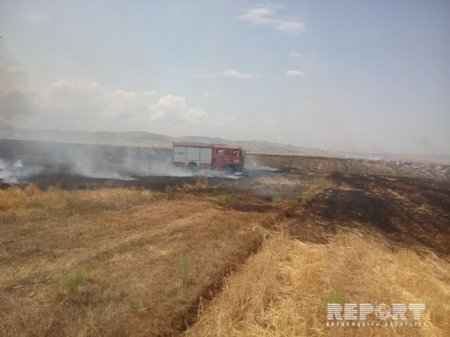 Şabranda qəbirstanlıqda güclü yanğın