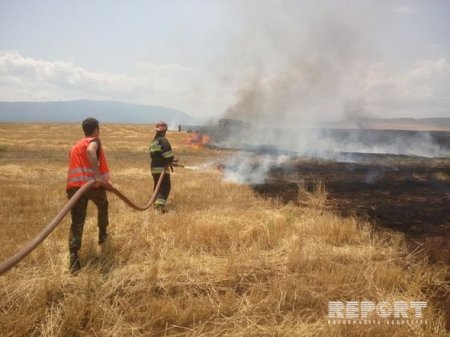 Şabranda qəbirstanlıqda güclü yanğın