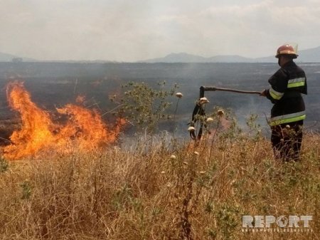 Şabranda qəbirstanlıqda güclü yanğın