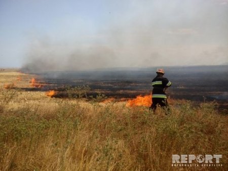 Şabranda qəbirstanlıqda güclü yanğın