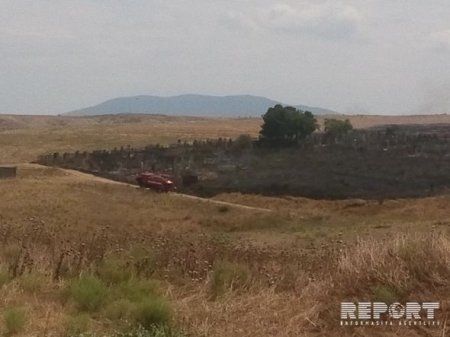 Şabranda qəbirstanlıqda güclü yanğın