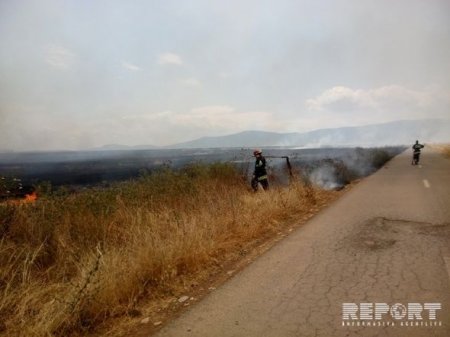 Şabranda qəbirstanlıqda güclü yanğın
