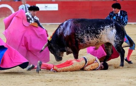 İspaniyada öküz matadoru öldürdü