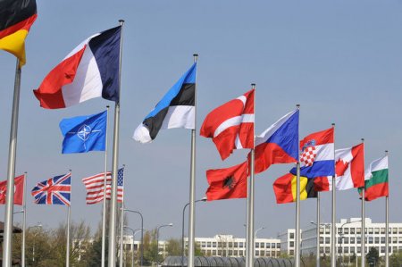 “Daily Caller”: NATO Azərbaycanın sayəsində daha da güclü ola bilər