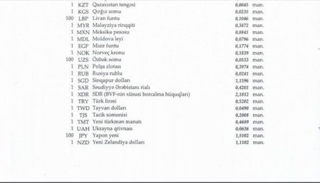 Rubl manata nisbətən ucuzlaşdı