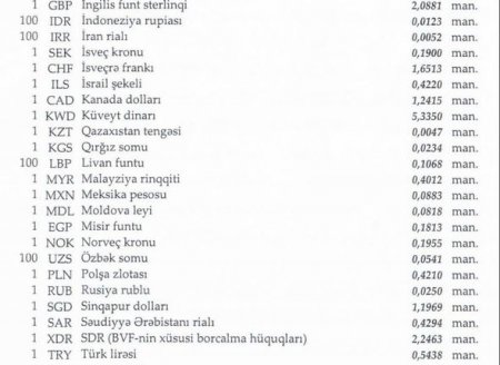 Dollar, rubl və lari bahalaşdı