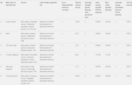 Bir sıra obyekt və mağazalar satışa çıxarılır