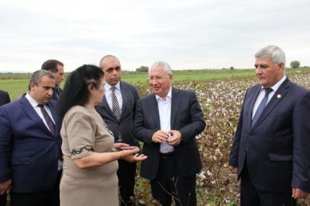 Azərbaycana yeni pambıqyığan kombaynlar gətirilir