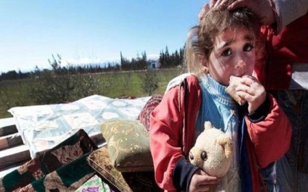 Nazir müavini: Azərbaycan Suriyaya humanitar yardım göndərməyi planlaşdırır
