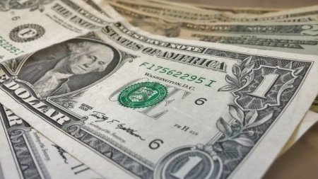 Valyuta hərracının nəticəsi: Dolların qiyməti artır