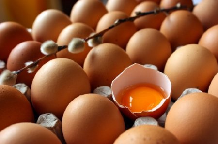Azərbaycanda süni yumurta satılır?