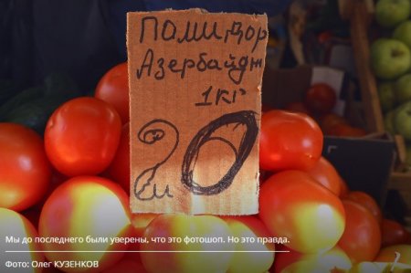 Azərbaycan pomidoru: Bakıda 3 manat 50 qəpiyə, Rusiyada cəmi 50 qəpiyə?