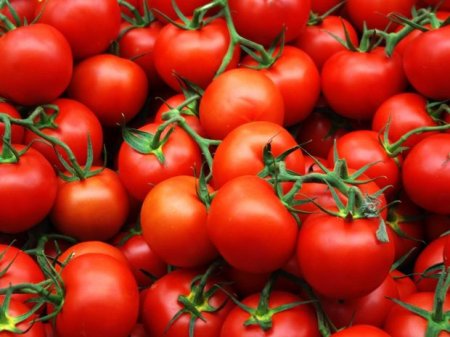 14 ton Azərbaycan pomidorunu Rusiyaya buraxmadılar