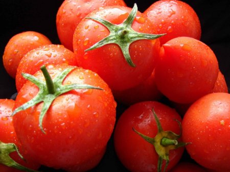 Rusiya qadağa qoydu, Bakıda pomidor ucuzlaşdı