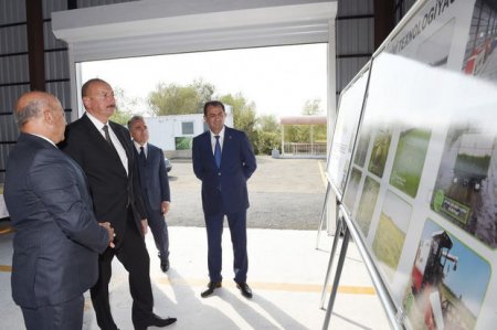 Prezident İlham Əliyev Lənkəranda çəltik zavodunun açılışını edib